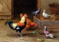 Hühner Tauben und eine Taube Bauernhof Tiere Edgar Hunt